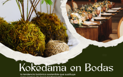 Kokedama en Bodas: la tendencia botánica sostenible que sustituye a los centros de mesa tradicionales